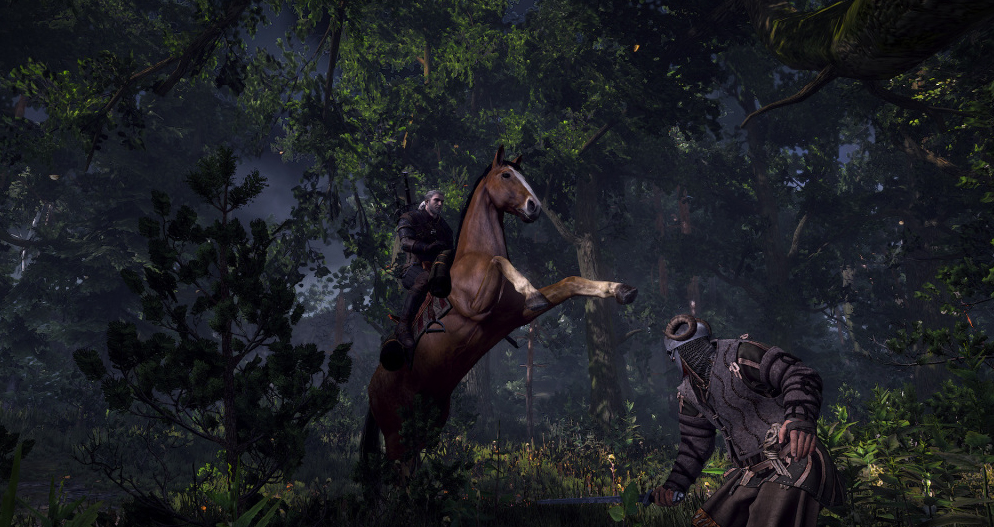 THE WITCHER 3 WILD HUNT GOTY EDITION PS4 UK Neuf - vue 3