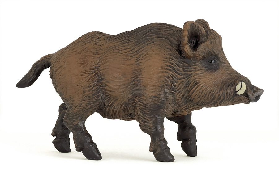 Figurine de Sanglier Papo Détails Réalistes et Finition de Qualité Neuf