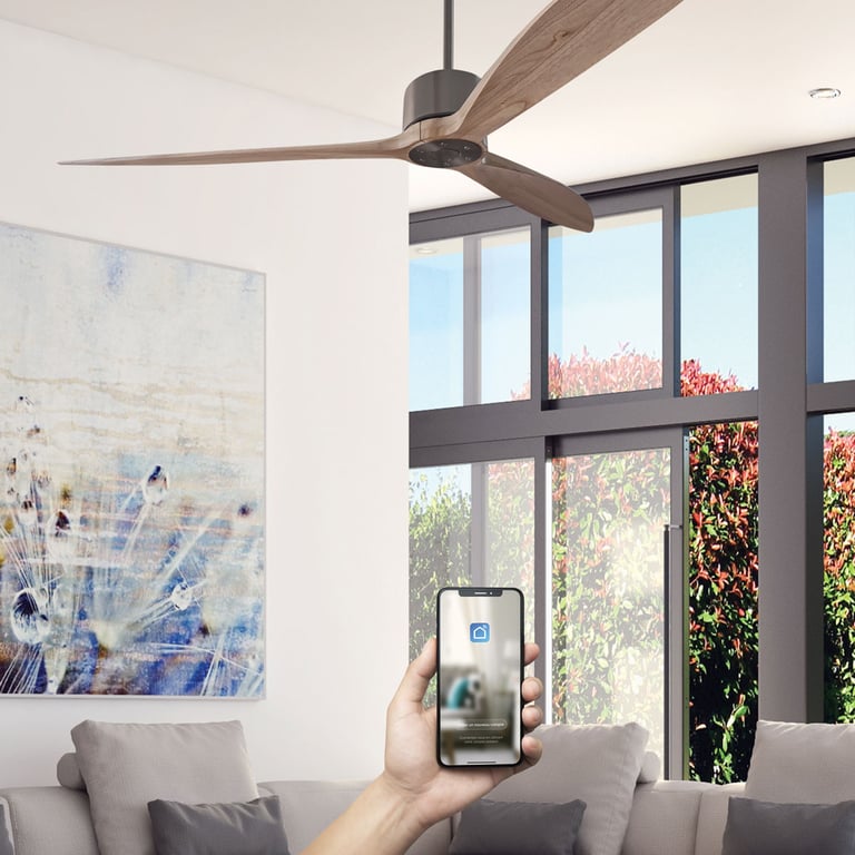 Fanelite Ventilateur de plafond 164 cm et bois NEBA Moteur DC Télécommande Wifi Très silencieux Neuf - vue 3