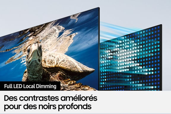 Samsung TV AI QLED 55'' Q80D 2024, 4K