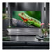 TV LG Mini Led Qned 55QNED84A 139 cm 2025