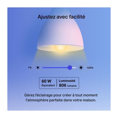 Ampoule Connectée WiFi Multicolore E27 2500K à 6500K 220V-240V 50/60 Hz Équivalent 60W 2.4 GHz IEEE 802.11b/g/n classe énergétique E