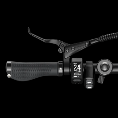 Bicicleta eléctrica urbana plegable ENGWE P20 de 250 W para desplazamientos diarios con sensor de par 36 V 9,6 Ah-Negro