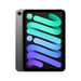 iPad mini 7 (8,3') Wifi 256 Go, Gris sidéral