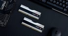 G.Skill F5-8000J4048F24GX2-TZ5RS módulo de memoria 48 GB 2 x 24 GB DDR5
