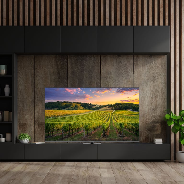 THOMSON 65QG5C14 - vue 3