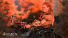 Sony Interactive Entertainment Horizon : Zero Dawn - Complete Edition - PLAYSTATION HITS