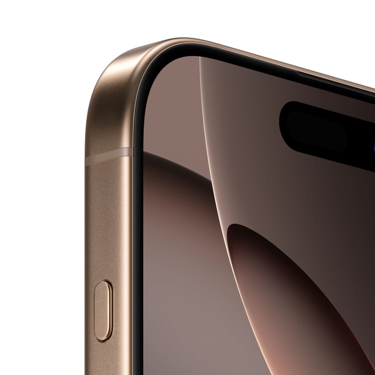 iPhone 16 Pro Max - vue 10