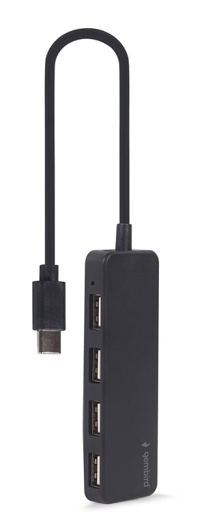 Gembird UHB CM U2P4 01 hub & concentrateur USB 2.0 Type C Neuf