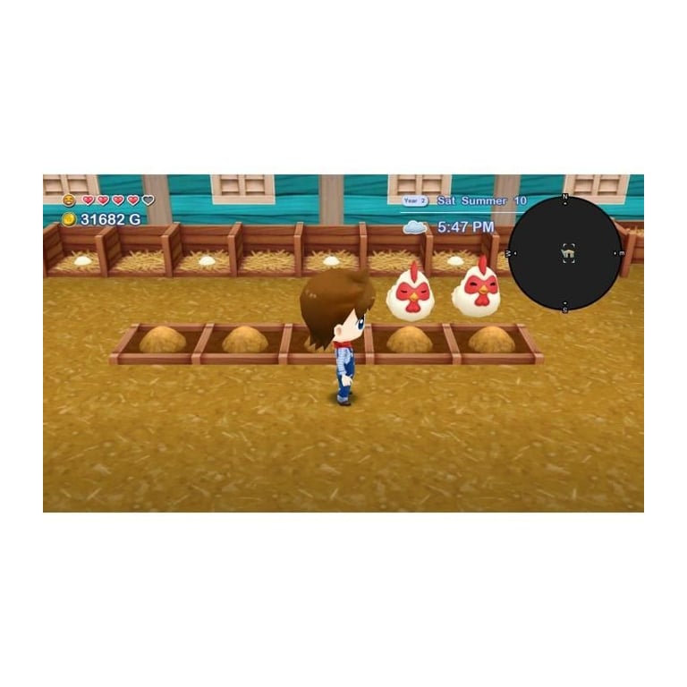 Harvest Moon The Lost Valley + Skytree Village Jeu Nintendo Switch - vue 3