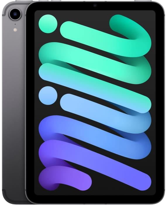 Apple - iPad mini (2021) - 8,3 WiFi + Cellulaire - 64 Go - Gris Sidéral