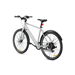 Bicicleta eléctrica DYU Stroll 1 de 250 W y 27 pulgadas para uso urbano con batería de 36 V y 9 Ah y freno de disco hidráulico doble