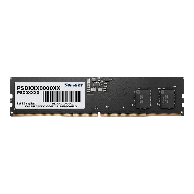 Patriot Memory Signature PSD532G56002 module de mémoire 1 x DDR5 5600 MHz Neuf