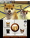 Nintendo Nintendogs + Cats Golden Retriever - Selects Sélectionne Allemand, Anglais, Espagnol, Français, Italien, Néerlandais, Portugais, Russe Nintendo 3DS