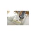 Kärcher WV 1 Compact Care Limpiador de ventanas inalámbrico 250 mm Blanco