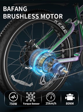 Duotts E26 Vélo électrique - Moteur 750W Batterie 48V20AH 26*4.0 Pouces Pneus Larges Freins Hydrauliques Avant et Arrière -  Vert Violet