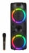 Denver BPS-459 haut-parleur portable et de fête Enceinte de soirée Noir 20 W