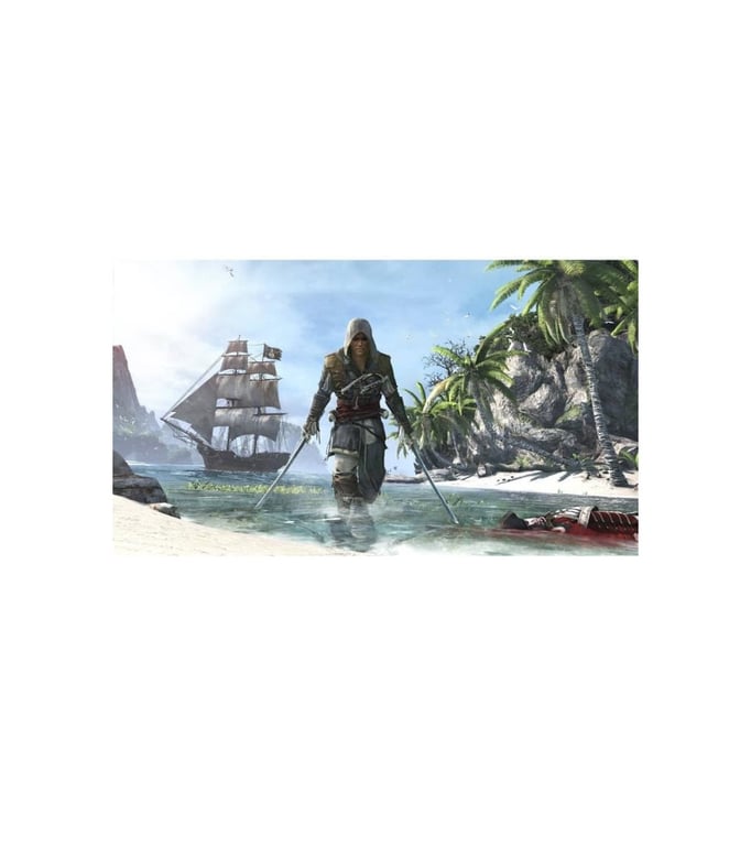 Playstation 4 - Assassin's Creed IV: Black Flag - FR (CN)