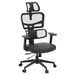 NEWTRAL Chaise Standard NT001 avec soutien lombaire adaptatif, chaise ergonomique, accoudoirs et appuie-tête réglables, base en nylon