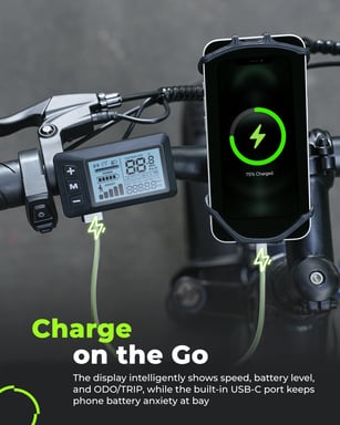 Bicicleta Eléctrica Isinwheel M60 con Neumáticos Anchos de 26x4'', Batería Extraíble de 48V 13AH