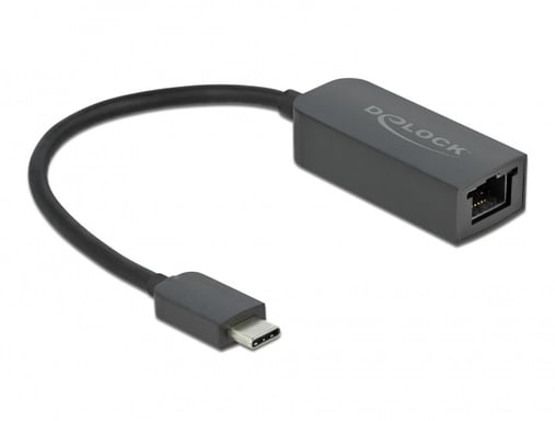 DeLOCK Adattatore USB Type-C maschio per 25 Gigabit LAN compatto (Delock - netvrksadapter - USB-C 3.2 G)