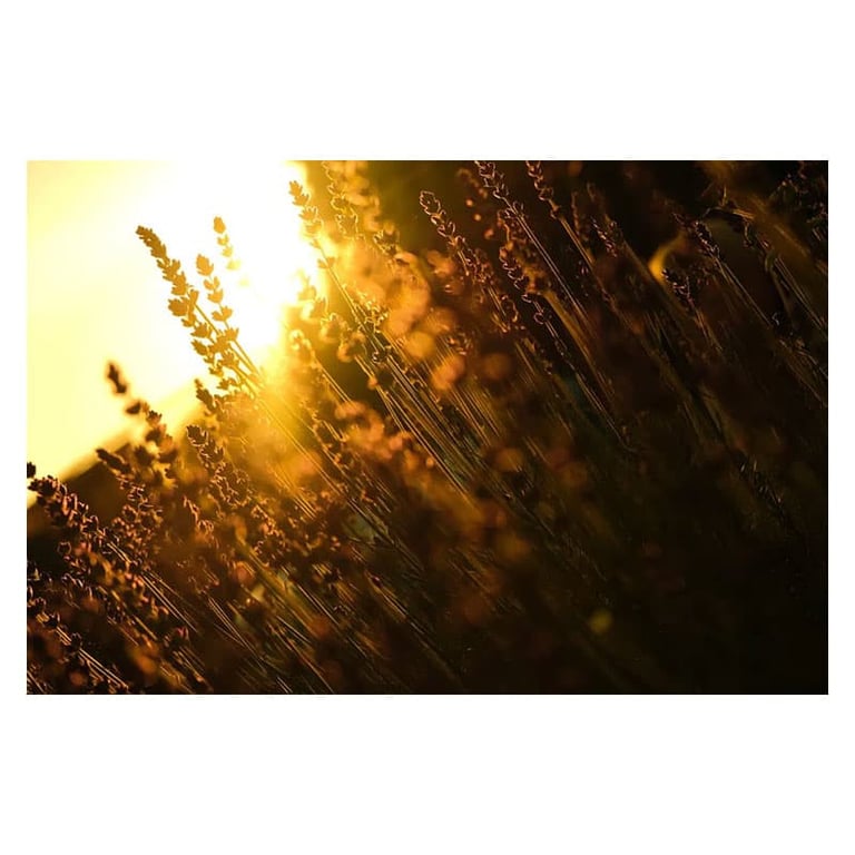 Objectif Hybride Fujifilm XF 16 80mm f4 R OIS WR - vue 4