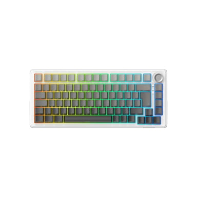 Clavier mécanique THE G-LAB Keyz Elite 300 RGB TKL 75% triple mode sans fil 2,4 GHz Bluetooth filaire Gris/Blanc