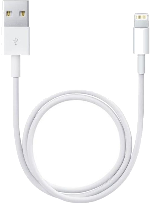 Apple Câble Lightning vers USB (0,5 m)