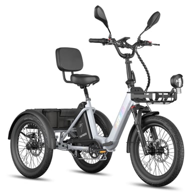 Tricycle électrique cargo FAFREES F20 Mate II pour seniors, batterie amovible 48 V 25 Ah, paniers avant et arrière - argent