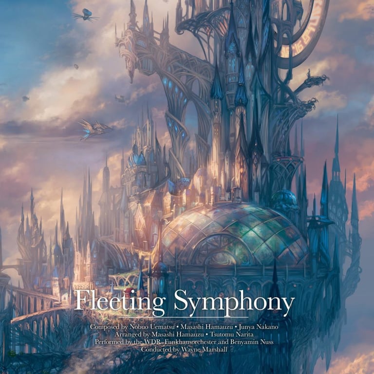 Fleeting Symphony Vinyle - 2LP