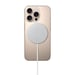 Chargeur MagSafe Apple pour iPhone 1 m Blanc