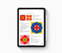 iPad Air 4e génération 10,9'' (2020), 256 Go - Wifi - Gris Sidéral
