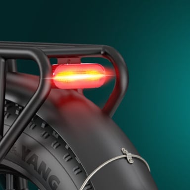 ENGWE L20 Boost Bici elettrica per Adulti, Bici elettrica per Pneumatici Fat da 20 Pollici per Donna, Batteria 48V 13A, Shimano 7 velocità