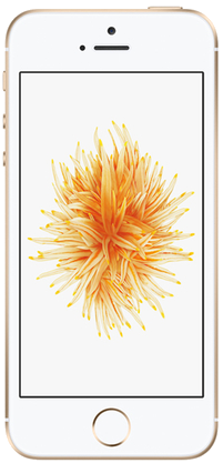 iPhone SE 32 Go, Or, débloqué