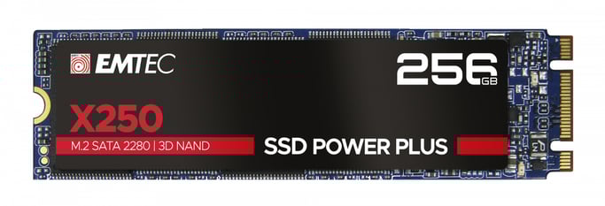 Emtec X250 256 Go M.2 Série ATA III 3D NAND