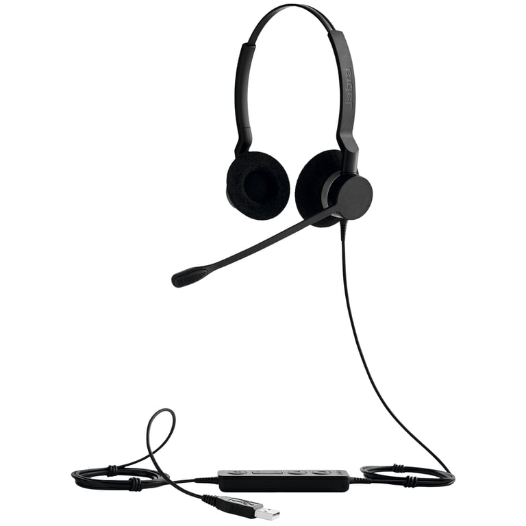 Jabra BIZ 2300 USB MS Duo - vue 4