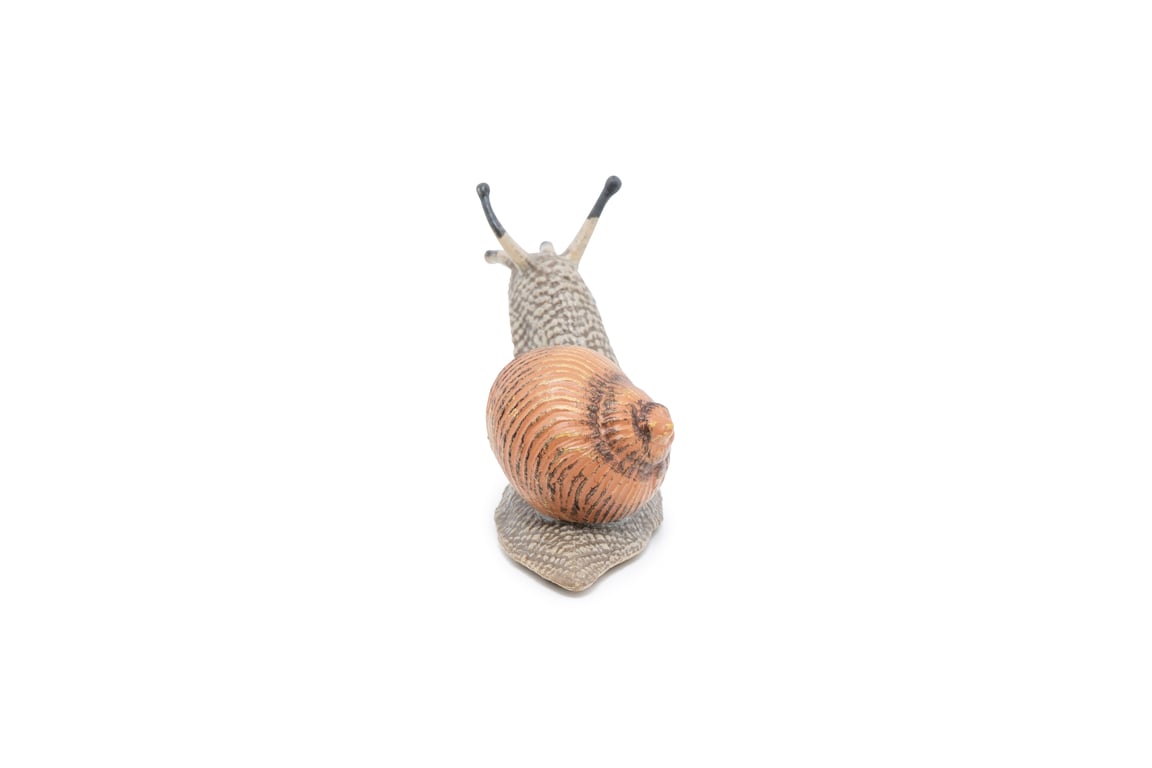 Papo Escargot Neuf - vue 3