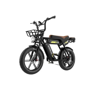 VéLo Électrique KOOLUX X9 PRO | Vitesse Max 25 km/h | Autonomie 100 km | Moteur 750W | Batterie 48V 15.6Ah*2 | Pneus 20 Pouces | Noir