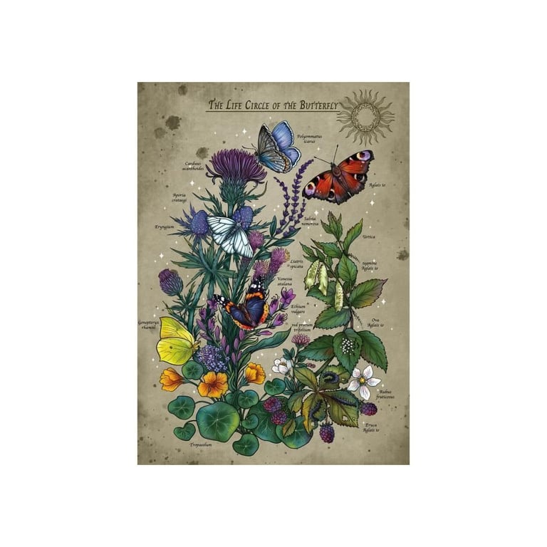 Ravensburger Puzzle Adulte Puzzle 1000 pièces Le Cercle de Vie du Papillon Adultes et Enfants dès Puzzle de qualité supérieure Nature 12001435 - vue 9
