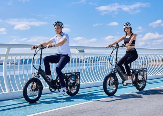Vélo cargo électrique PIXAR Plus7 Longtail 20 pouces, 500 W, batterie 48 V 10 Ah
