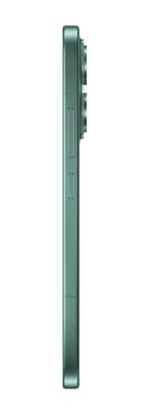 17 (5G) 512 Go, Vert
