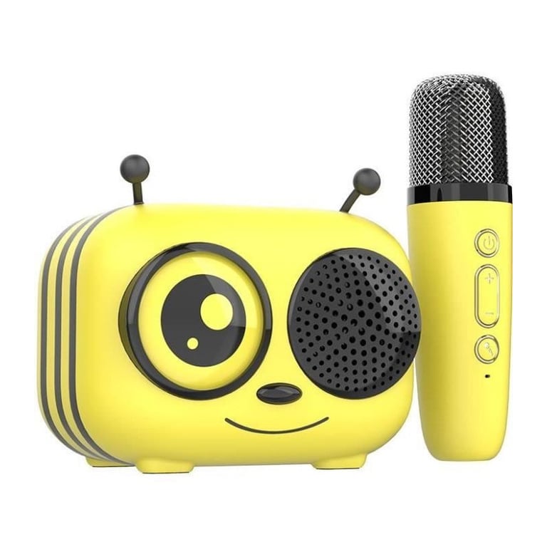 Kit karaoké / Enceinte Bluetooth et micro sans fil CGV MAYA Effets voix magiques Autonomie 8h Recharge USB