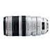 Canon EF 100-400mm f/4.5-5.6L IS USM