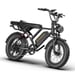 Bicicleta Eléctrica HEADEER BK20 - Motor 750W Batería 48V20AH 20'' Freno de Disco - Negro