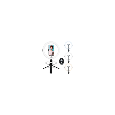 AgfaPhoto Ring Light Realiview ARL11 con trípode - Luz LED para teléfono, fotos, selfies, vídeos, Youtube, maquillaje, TikTok