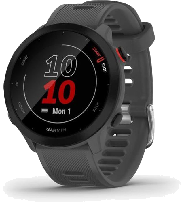 GARMIN Forerunner 55 - Montre connectée GPS - Grise Monterra