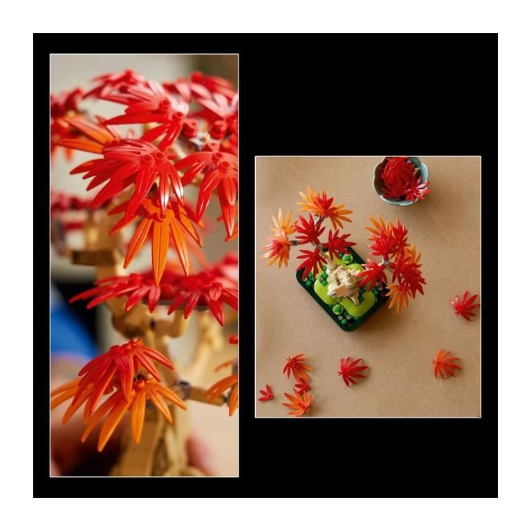LEGO Botanicals 10348 Bonsai d'Érable Rouge du Japon - Kit de Construction pour Adulte - Neuf