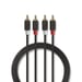 Nedis CABW24200AT30 cable de audio 3 m 2 x RCA Antracita