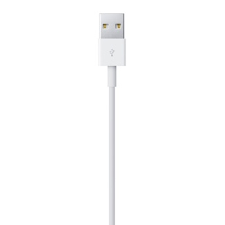 Apple Lightning / USB 0,5 m Bianco