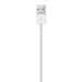 Apple Lightning / USB 0,5 m Bianco